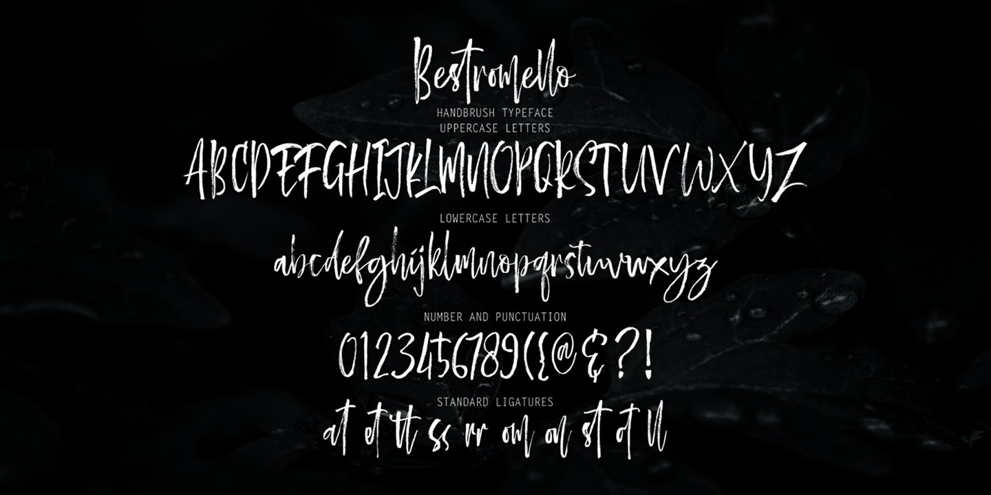 Пример шрифта Bestromello Script Regular